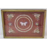 Late 19th/early 20th century shell picture of a butterfly in circular panel surrounded by floral
