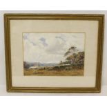 FORSTER ROBSON (Exh. 1888-1906) Shire Heath. Watercolour. 24cm x 34cm. Signed and inscribed with