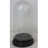Small Victorian glass display dome on ill fitting ebonised plinth base, 27cm high, internal dome