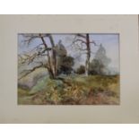 O. KUBIN (OR KULIN?). Woodland scene. Watercolour. 26cm x 37cm. Signed.