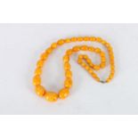 Large strand of graduated butterscotch amber style beads, the largest bead approximately 27mm x
