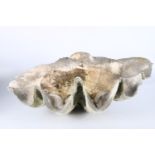 Taxidermy and Natural History, a Giant Clam (Tridacna Gigantica) half shell, 32kg, 68cm wide
