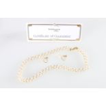 An entwined triple strand freshwater pearl necklace having 18ct gold closure with certificate from