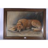 MARION RODGER HAMILTON HARVEY (Scottish, 1886-1971) *ARR*,  Resting dog,  signed pastel drawing 46cm