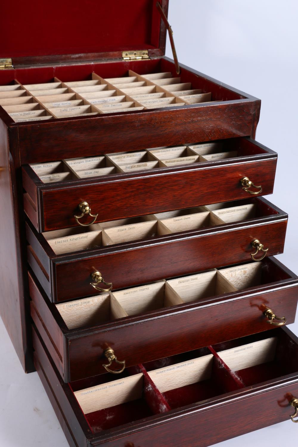 Mahogany hinge top five drawer birds egg specimen cabinet, 43cm tall - Image 2 of 4