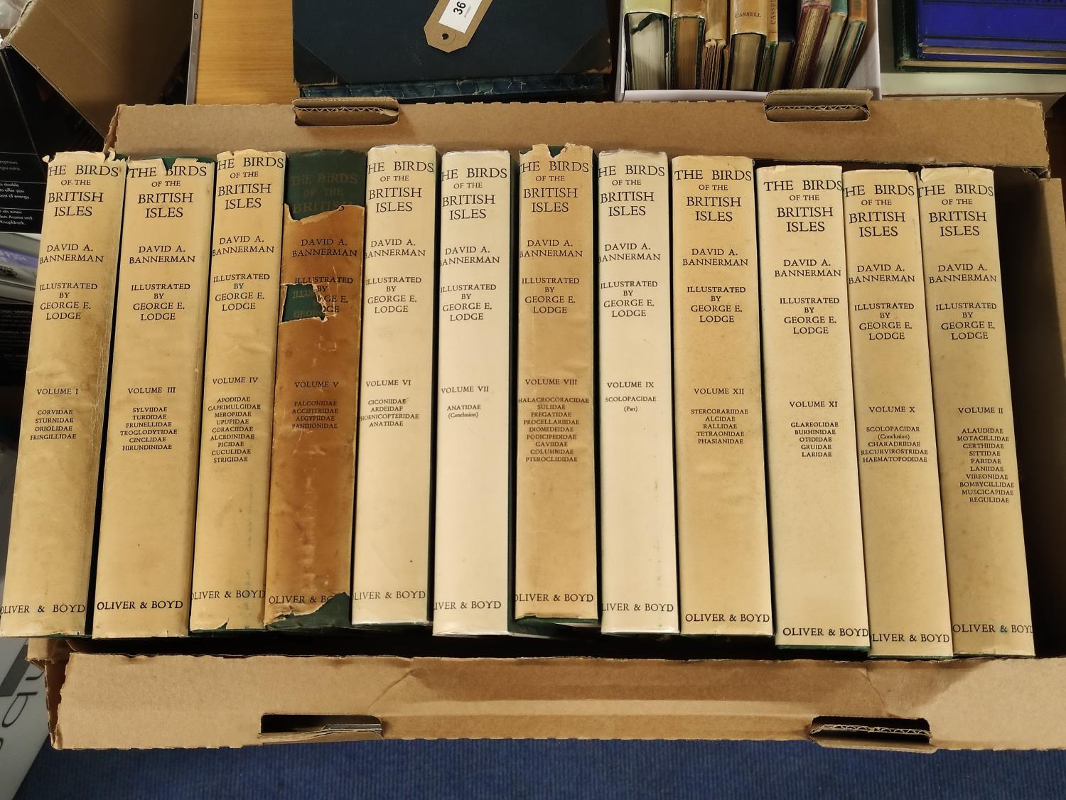 BANNERMAN D. A. & LODGE G. E.  The Birds of the British Isles. The set of 12 vols. Very many col.