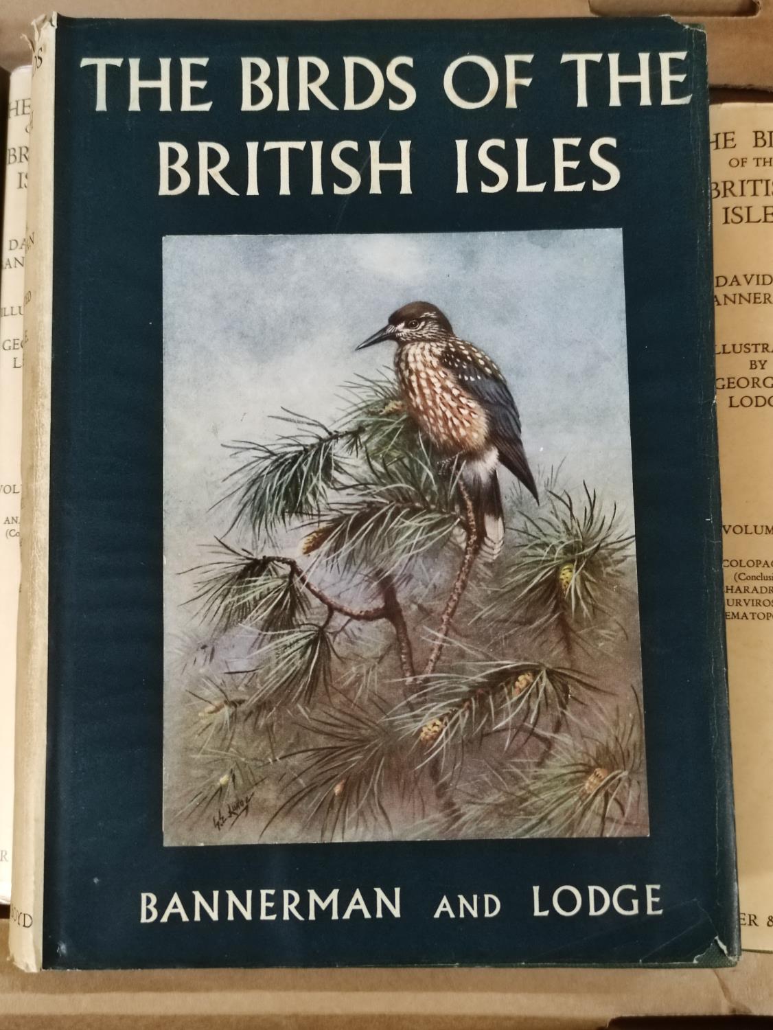BANNERMAN D. A. & LODGE G. E.  The Birds of the British Isles. The set of 12 vols. Very many col. - Image 5 of 9