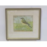 ROSALIND BALDWIN. Grey Wagtail. Watercolour and gouache. 15cm x 18cm. Signed, title on label verso.