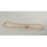 Cultured pearl choker necklet with equal sized beads on 18ct yellow and white gold snap.
