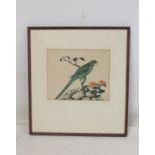 Chinese watercolour on pith paper depicting a parakeet on a branch with flowers, 17.5cm x 21cm.