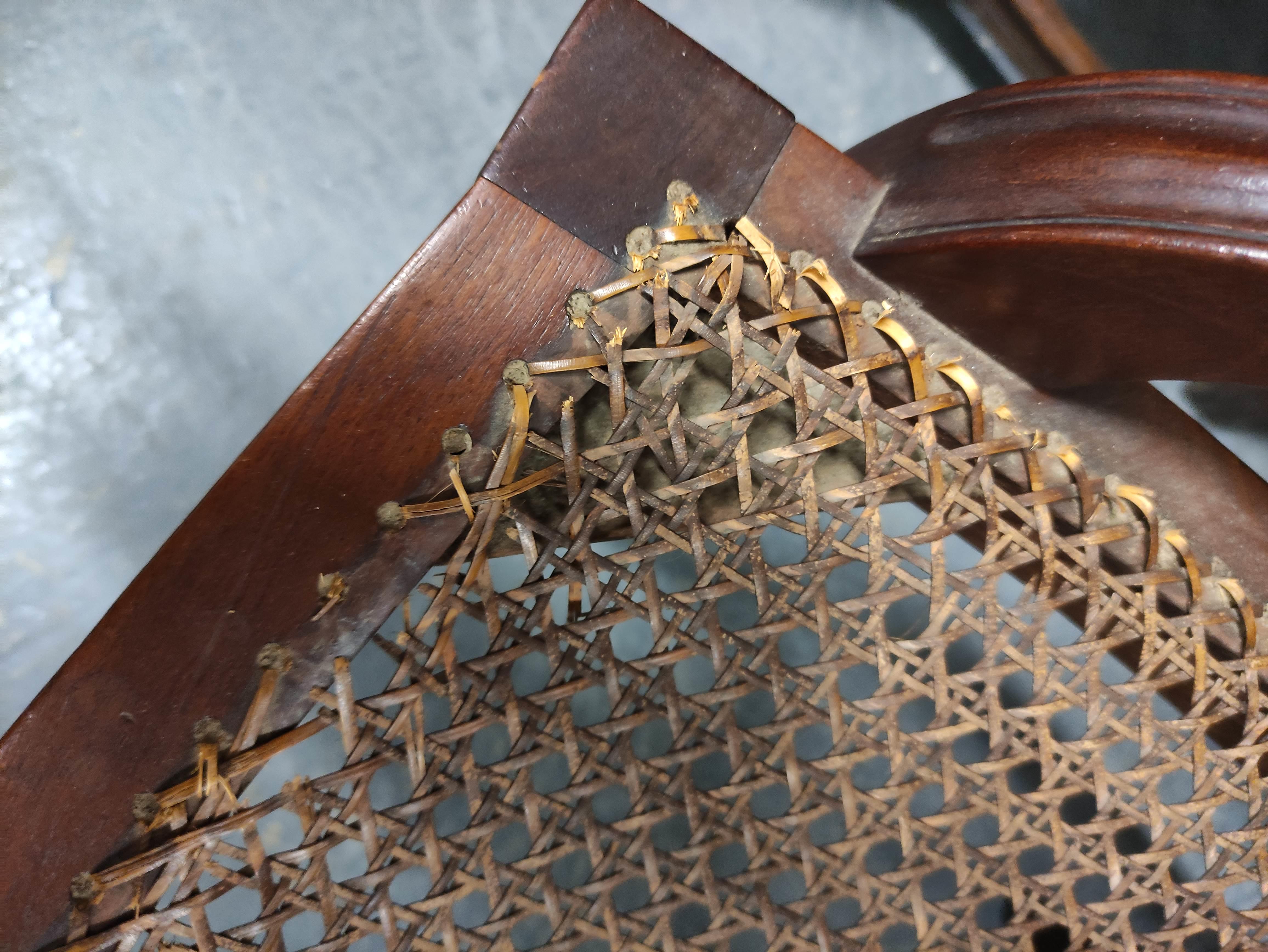 A pair of Sheraton revival mahogany open elbow chairs, the bergere caned circular backs with central - Image 6 of 20