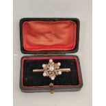 Gold brooch with pearls and eight cut diamonds in silver. 7g.