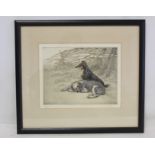 GEORGE VERNON STOKES.  Hand coloured etching of a rough collie and a bearded collie, no. 29/75 and