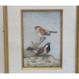 Indian gouache painting on marble of two sparrows, 14.5cm x 10cm.