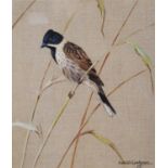 Ralston Gudgeon RSW (Scottish, 1910 - 1984) Reed Bunting