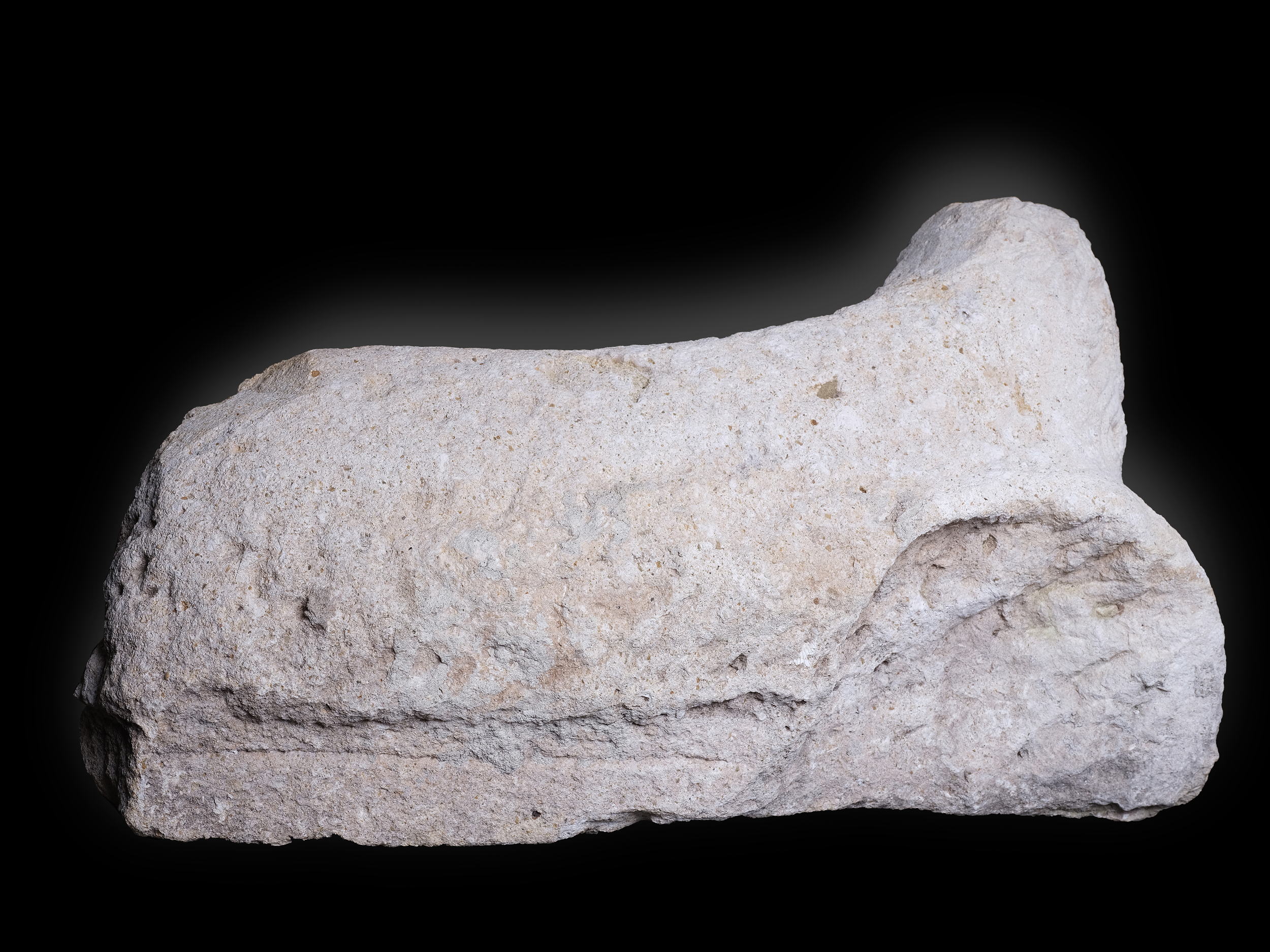Highly important Roman Lion, Veneto / Istria, 1100 - 1150, Travertine or sandstone - Image 3 of 4