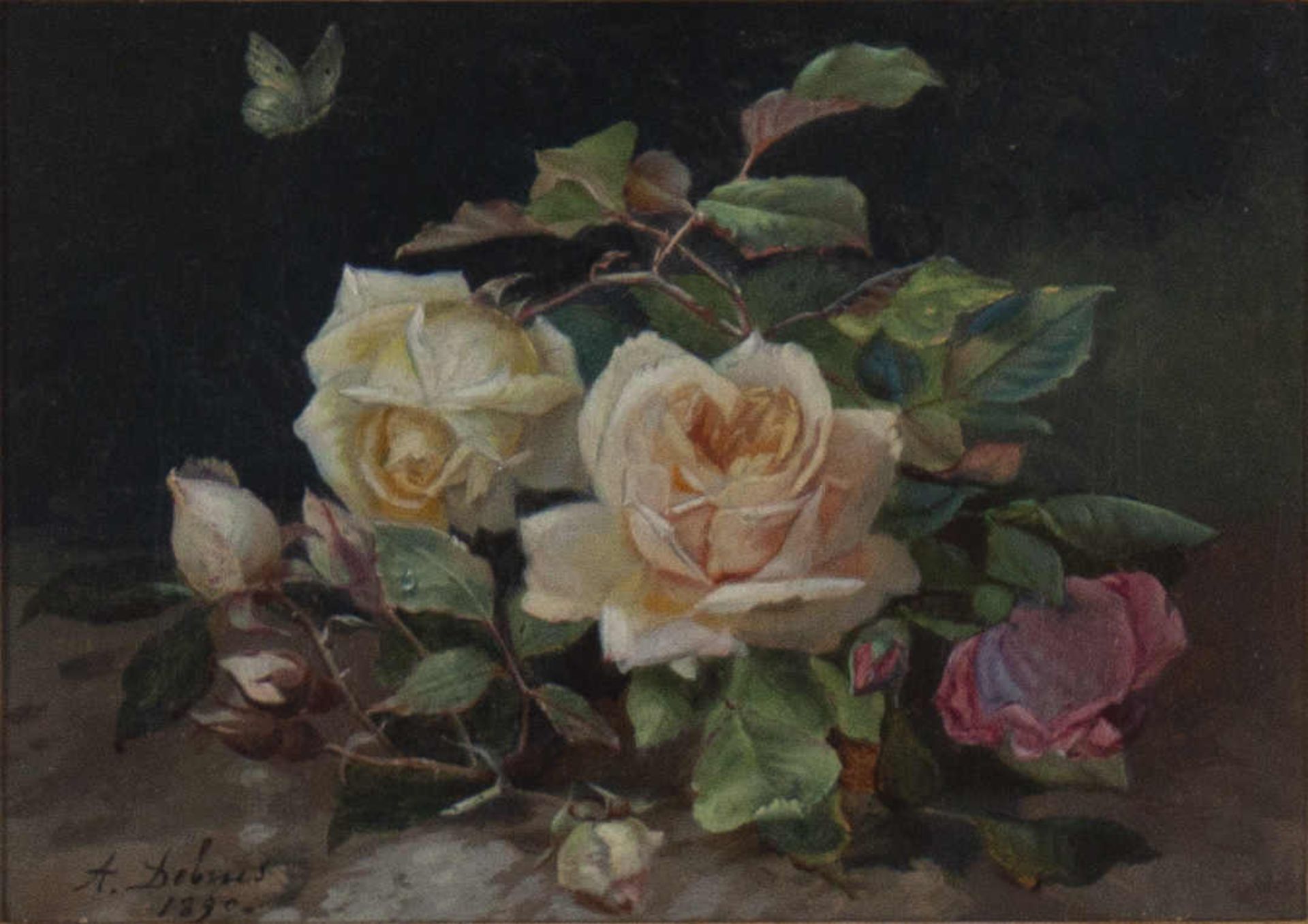 Stillleben, Rosen mit Schmetterling. A. Debus (Künstler des 19./20. Jahrhundert, Frankreich). Öl auf