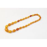 A butterscotch amber bead necklace, the single strand of graduated beads measuring between 14mm x