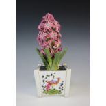 A porcelain model of a pink hyacinth in bloom, set to a square cache pot hand painted with exotic