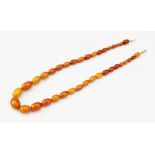 A butterscotch amber bead necklace, the single strand of graduated bead necklace formed as thirty