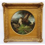 Attributed to George Armfield (1808-1893), Terriers rabbiting, Tondo oil on canvas, Unsigned, 33cm