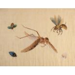 Chinese School, early 20th century, A set of four studies of bugs and insects in gouache and