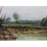 Attributed to Thomas Shotter Boys (1803-1874), Study of a rural river bank, Watercolour, 7cm x