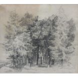 Attributed to John Sell Cotman (1782-1842), Woodland view, Pencil, 24cm x 27cm, together with a