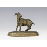 A bronze patinated sculpture of a goat, 19th century, modelled standing on a naturalistic ground,