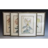 A set of four Japanese woodblock prints on paper, 20th century, each depicting chrysanthemum