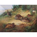 Archibald Thorburn (1860-1935), Game bird scenes, Three limited edition prints on paper, Unsigned,