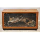 TAXIDERMY: A cased taxidermy fox, 20th century, modelled with a large duck or goose in its jaws
