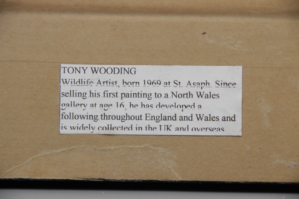 Tony Wooding (b.1969), Portrait of a border collie, Oil on canvas, Signed lower right, 24.5cm x 24. - Image 4 of 5