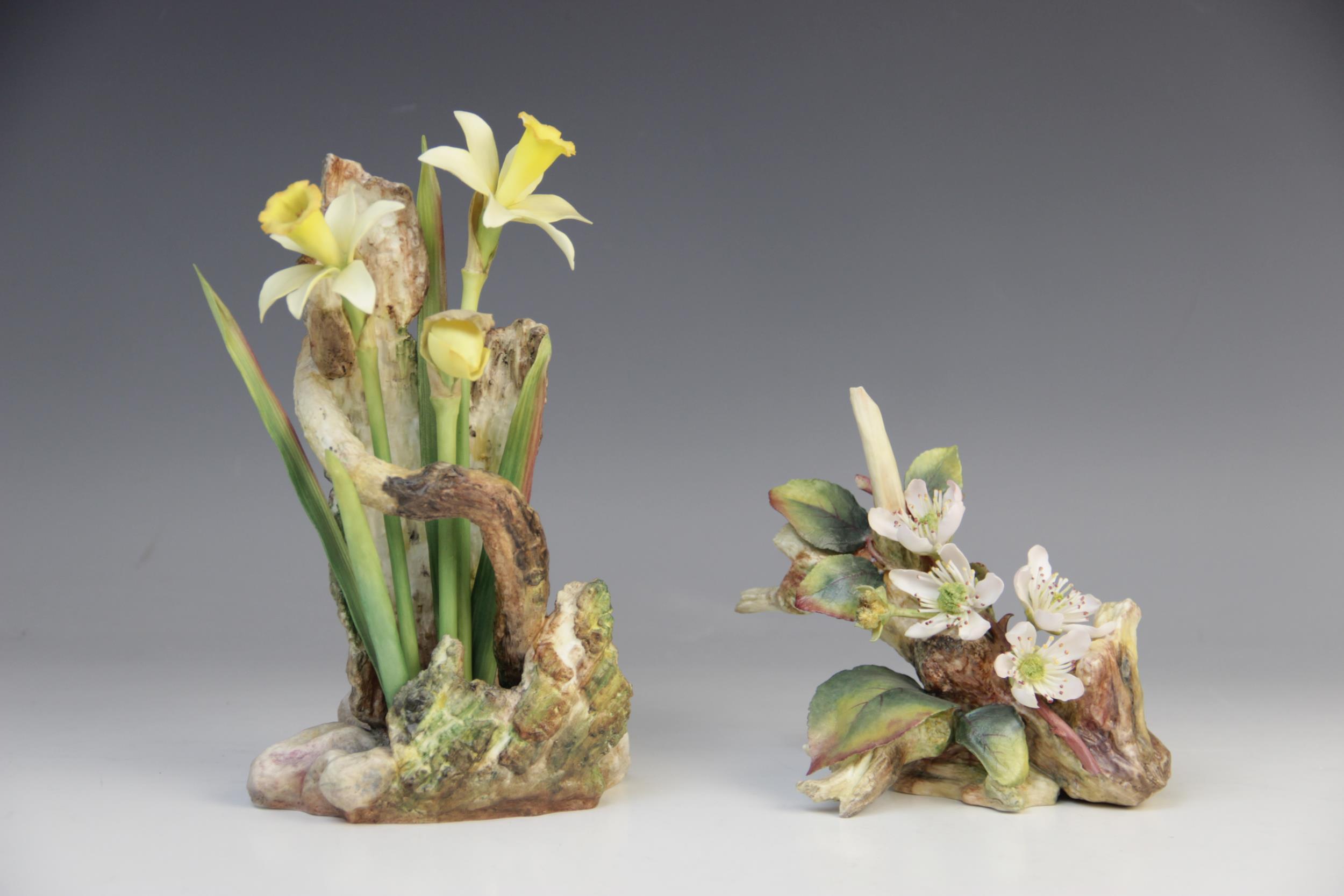 Two Bronte porcelain flower studies, 'Wild Daffodil', 19cm high, and 'Blackberry', 12cm high (2)