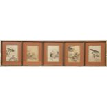 A set of five Japanese woodblock prints, early 20th century, depicting a hawk attacking a duck,