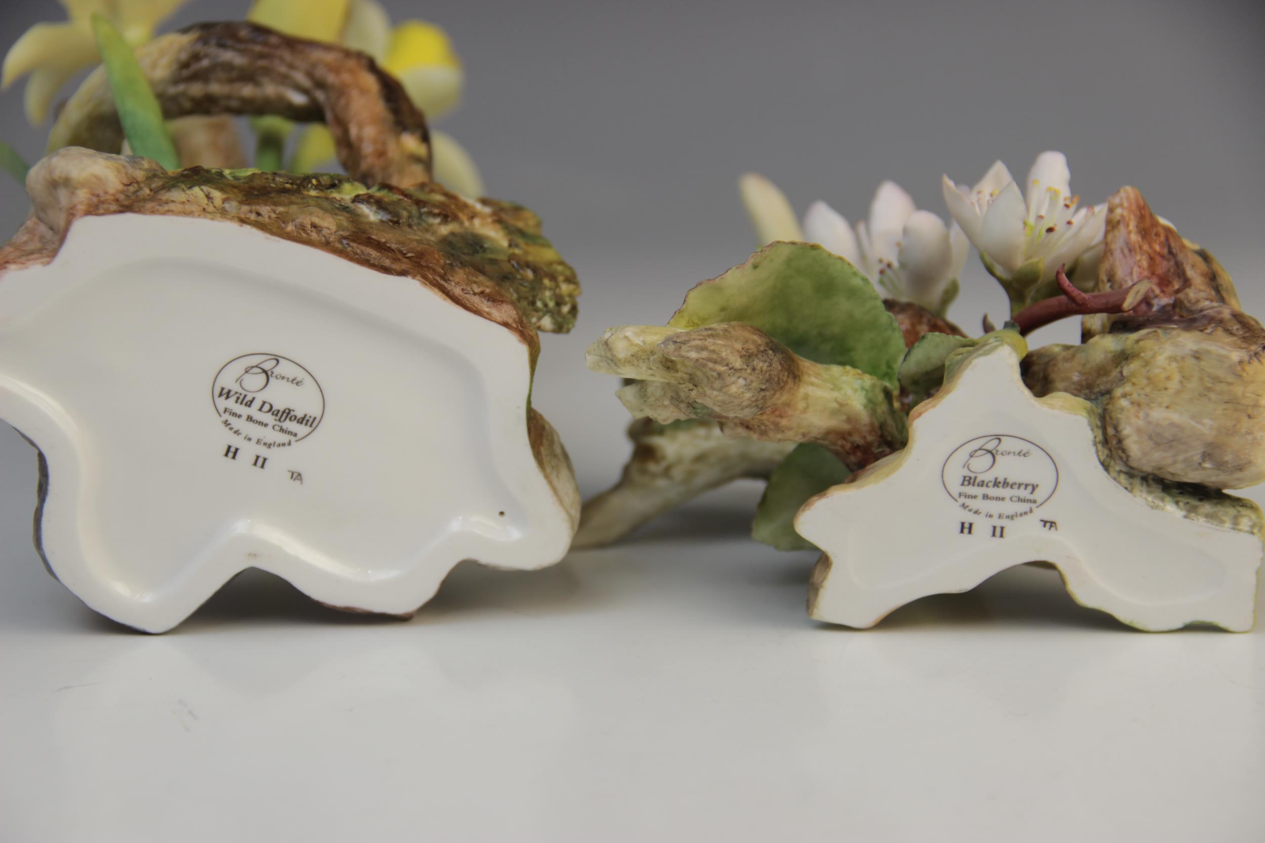 Two Bronte porcelain flower studies, 'Wild Daffodil', 19cm high, and 'Blackberry', 12cm high (2) - Image 2 of 2