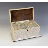 A Victorian mother of pearl tea caddy, the rectangular box with hinged cover opening to reveal a