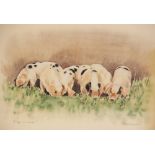 Ros Goody (contemporary British), 'Pigs In Clover!', Watercolour on paper, Signed lower right,