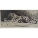 After Herbert Thomas Dicksee (1862-1942), "The Kill", a tiger with prey in long grass, Etching on