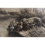 After Herbert Thomas Dicksee (1862-1942), Two tigers at a watering hole, Etching on paper, Signed in