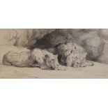 Herbert Thomas Dicksee (1862-1942), A lion and lioness recumbent, Pencil sketch on paper, Signed