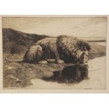 After Herbert Thomas Dicksee (1862-1942), A recumbent lion drinking at a watering hole, Etching on
