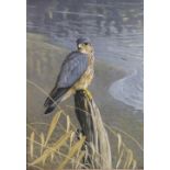 Gareth Parry (English school, 20th century), A merlin on a riverbank, Signed and dated '