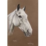 Margaret Anderson A.R.M.S. (1926-1998), 'Rockafella', a study of a horse's head, Pastel on paper,