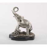 SCULTURA in lamina d'argento raffigurante "Elefante", base in legno laccata nei toni del nero,
