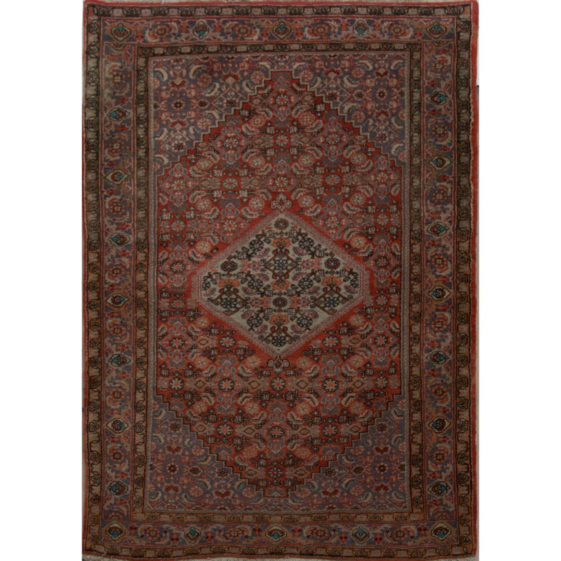 TAPPETO BIDJAR trama ed ordito in cotone, vello in lana. Persia XX secolo - cm 170 x 112