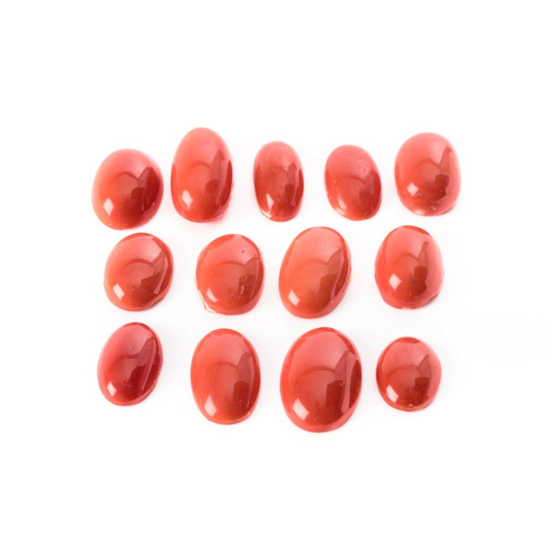 TREDICI CABOCHON in corallo rosso mediterraneo (g. 12)