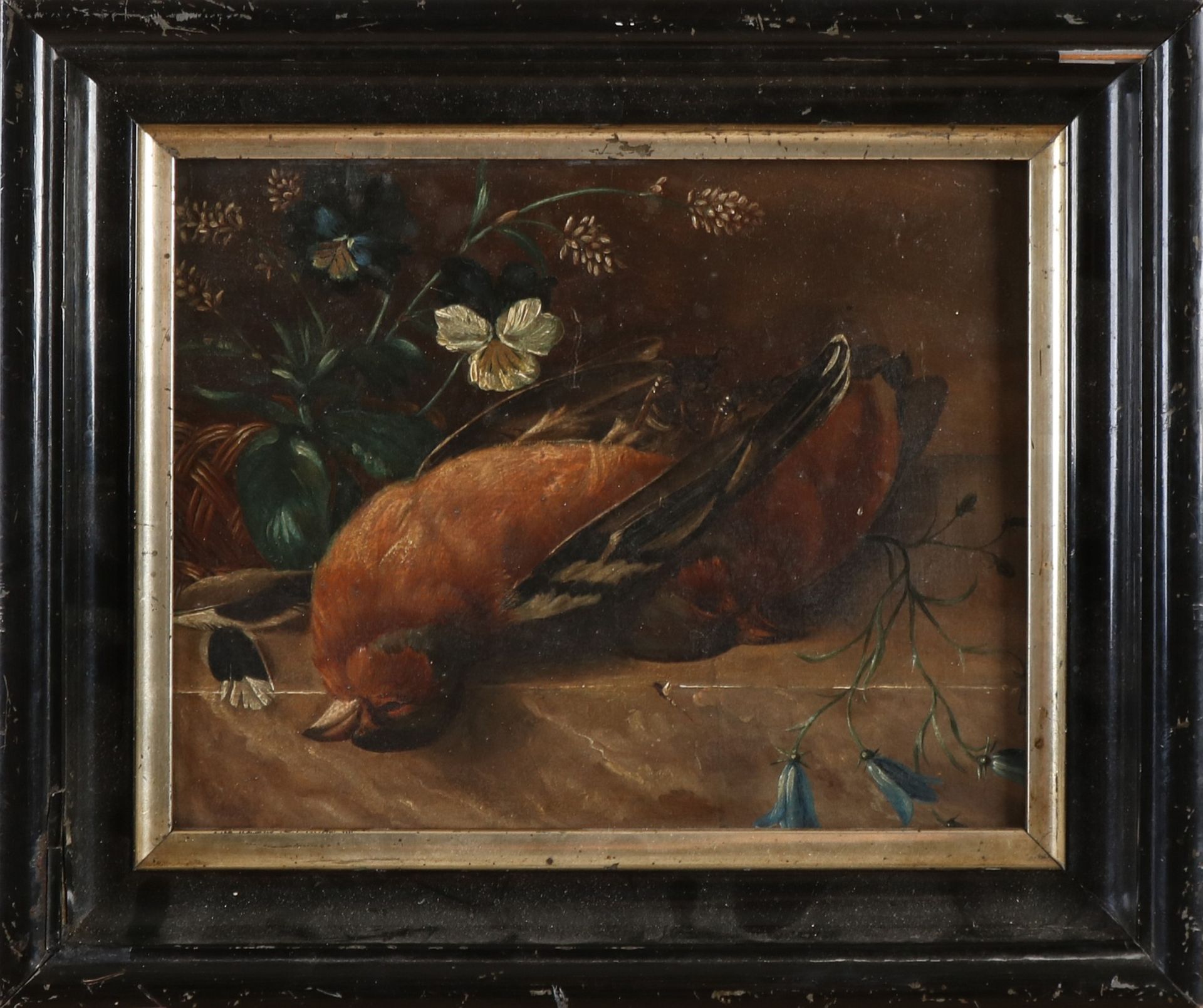 A. van Ravenswaay F. 1816 - 1872. Unten rechts im Rabatt. Stillleben mit Vogel und Blumen. Abmess