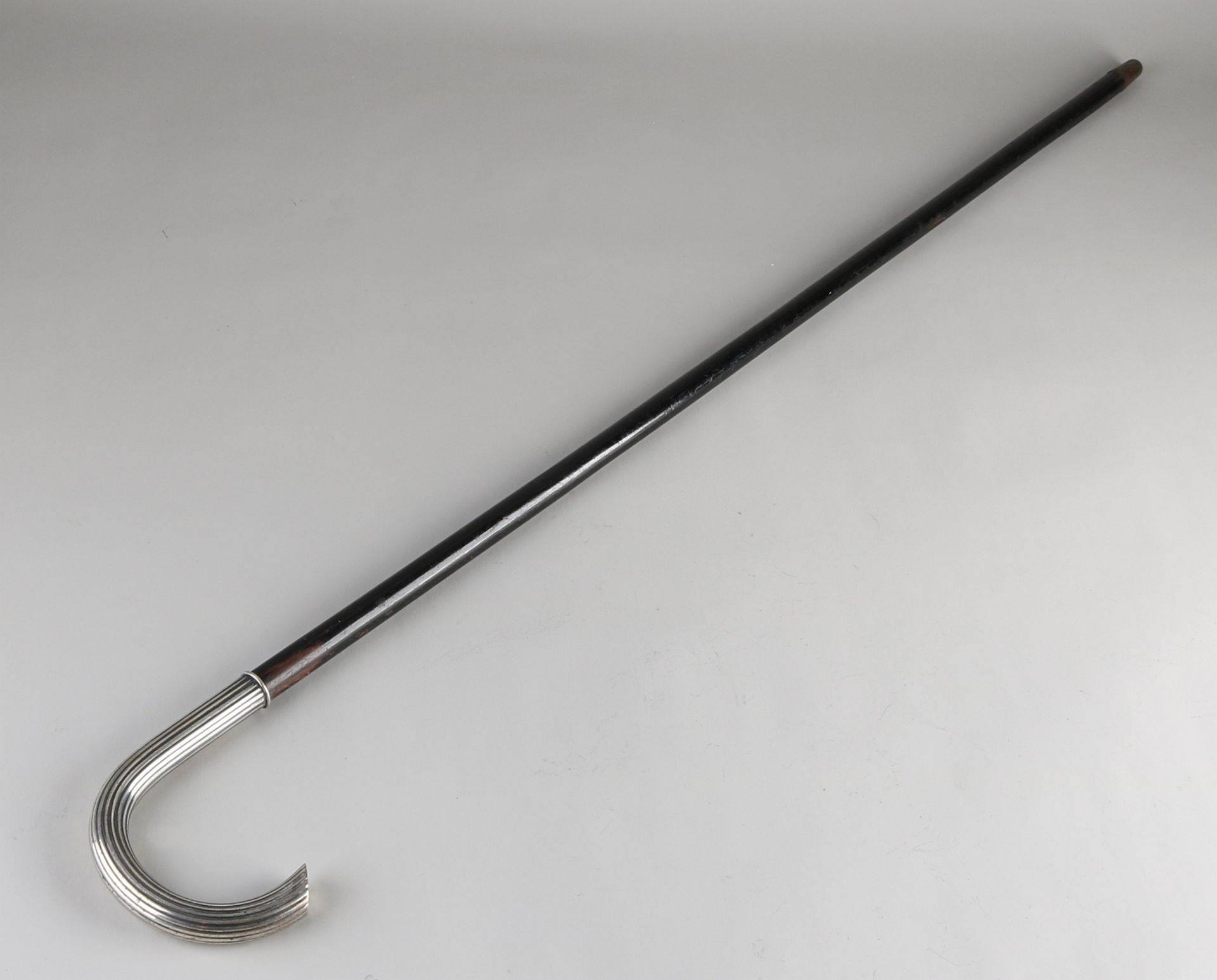 Silver walking stick