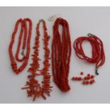 Lot of red corals